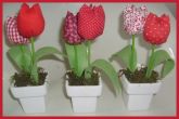 Trio de tulipas vermelhas