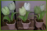 Trio de tulipas verdes